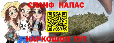 СК Можга