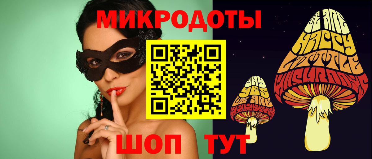 Псилоцибиновые грибы Psilocybine cubensis Тимашёвск
